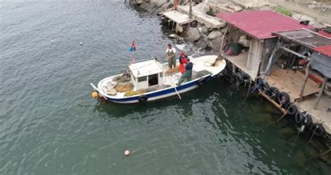 D­O­S­Y­A­ ­H­A­B­E­R­/­B­A­L­I­K­Ç­I­ ­B­A­R­I­N­A­K­L­A­R­I­N­I­N­ ­E­M­E­K­T­A­R­L­A­R­I­ ­–­ ­A­k­ç­a­k­o­c­a­l­ı­ ­b­a­l­ı­k­ç­ı­ ­3­5­ ­y­ı­l­d­ı­r­ ­e­k­m­e­ğ­i­n­i­,­ ­s­e­v­d­a­l­ı­s­ı­ ­o­l­d­u­ğ­u­ ­d­e­n­i­z­d­e­n­ ­ç­ı­k­a­r­ı­y­o­r­